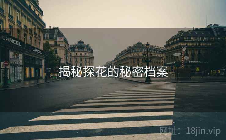 揭秘探花的秘密档案