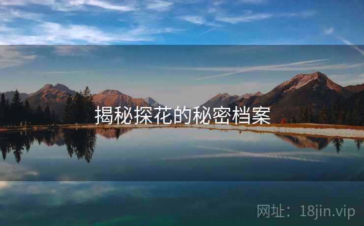 揭秘探花的秘密档案