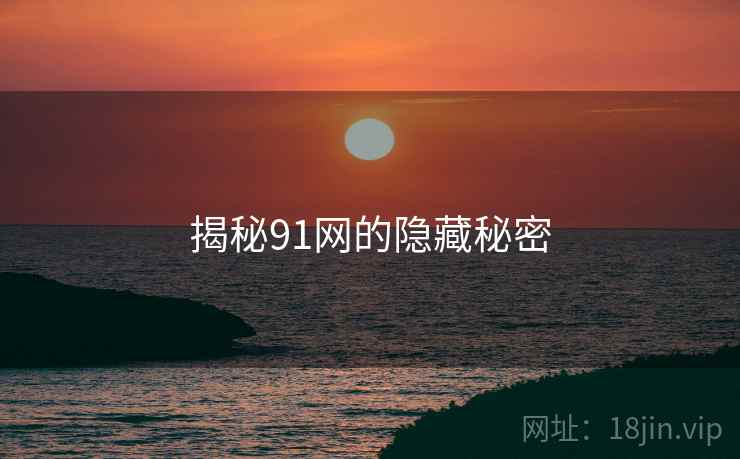 揭秘91网的隐藏秘密