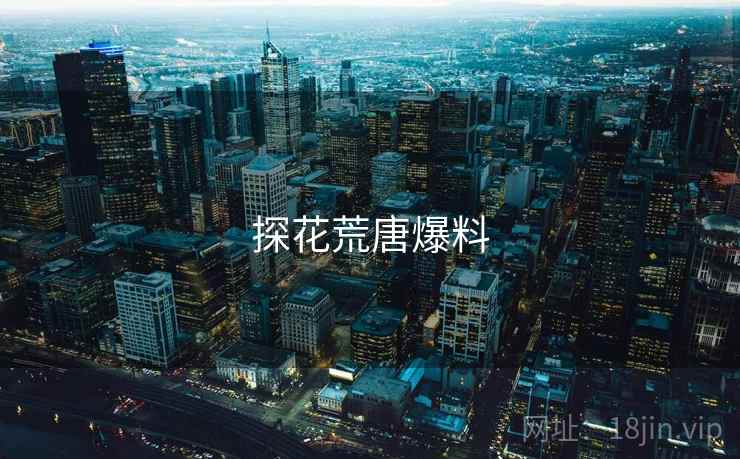 探花荒唐爆料