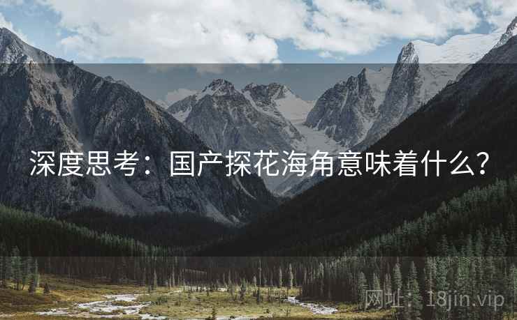 深度思考:国产探花海角意味着什么?  第2张 深度思考:国产探花海角意味着什么?  第2张