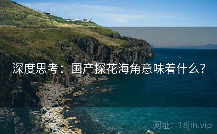 深度思考:国产探花海角意味着什么?  第1张 深度思考:国产探花海角意味着什么?  第1张