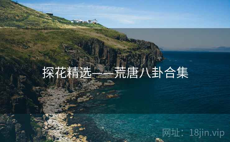 探花精选——荒唐八卦合集