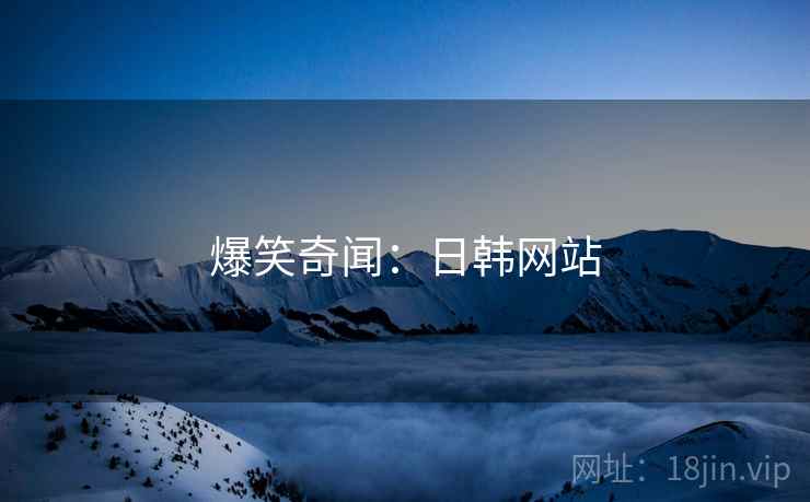 爆笑奇闻:日韩网站