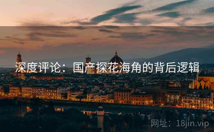 深度评论:国产探花海角的背后逻辑  第2张 深度评论:国产探花海角的背后逻辑  第2张