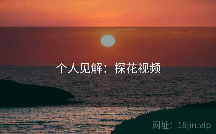 个人见解:探花视频