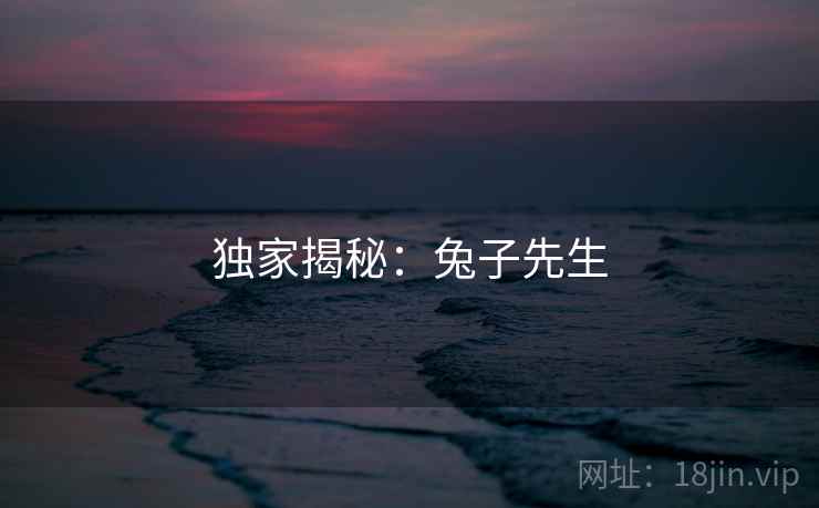 独家揭秘:兔子先生