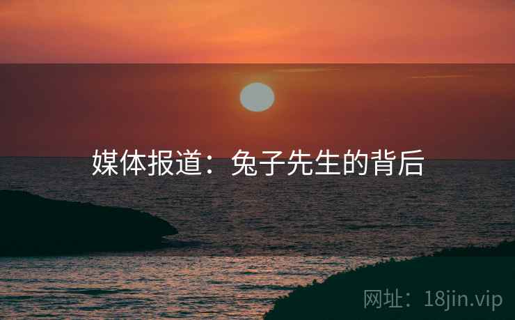 媒体报道:兔子先生的背后