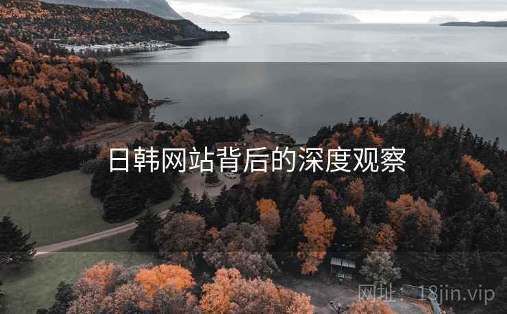 日韩网站背后的深度观察