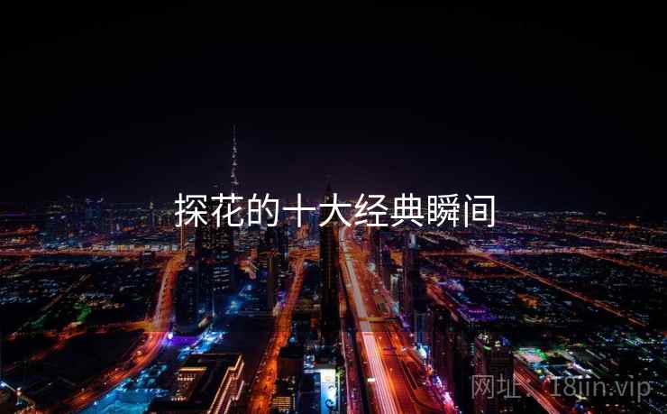 探花的十大经典瞬间