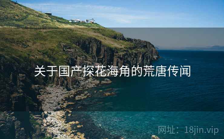 关于国产探花海角的荒唐传闻