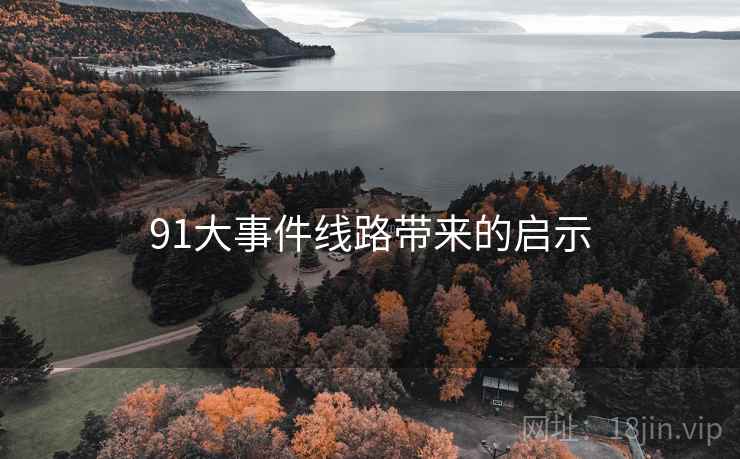91大事件线路带来的启示