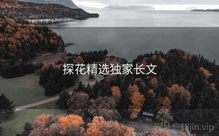 探花精选独家长文
