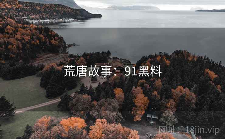荒唐故事:91黑料