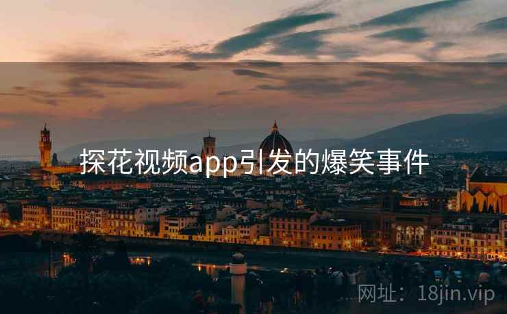 探花视频app引发的爆笑事件